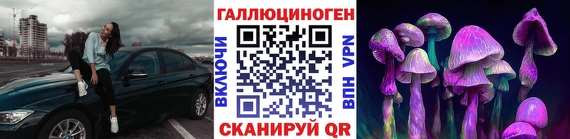 Купить  Бобров  Галлюциногенные грибы мицелий 