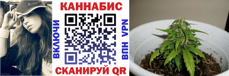 Купить закладки  Бобров  Бошки Шишки Bruce Banner 
